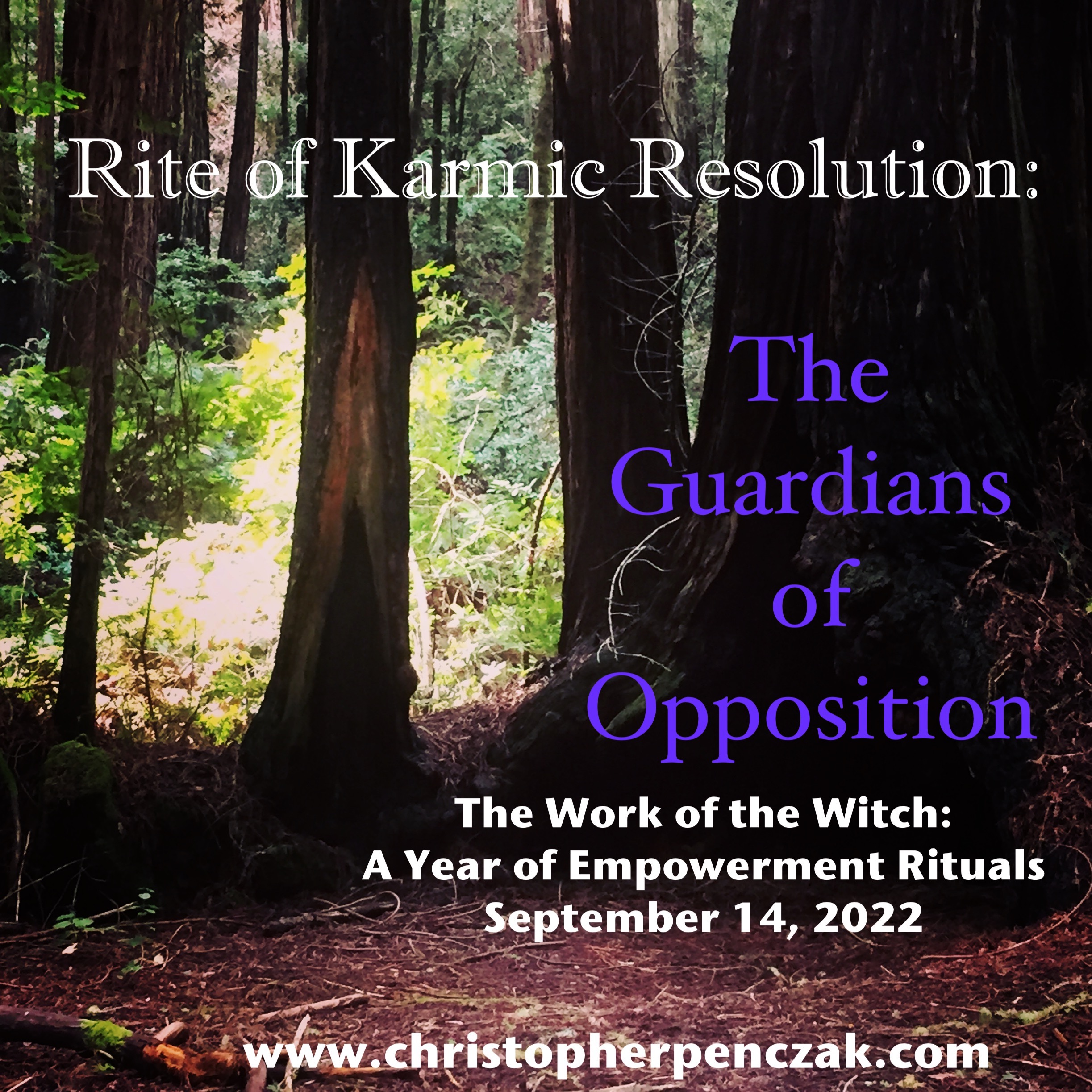 Rite of Karmic Resolution: The Guardians of Opposition
