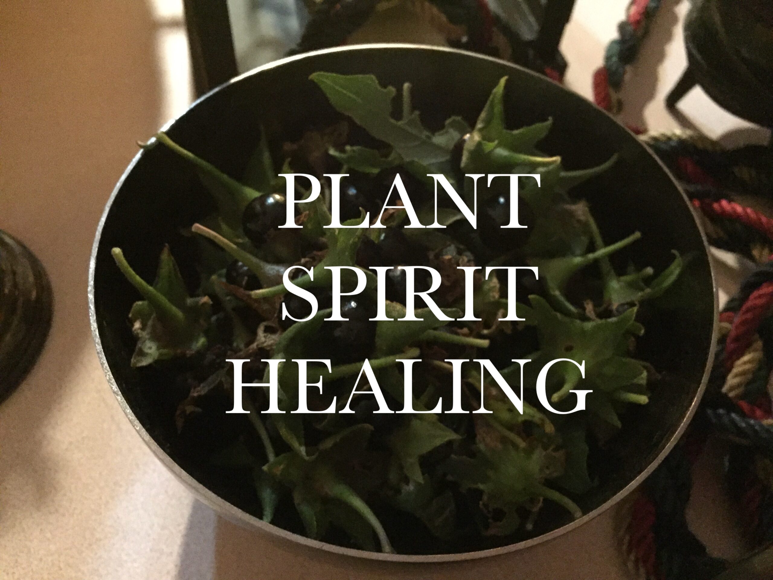 Plant Spirit Healing
