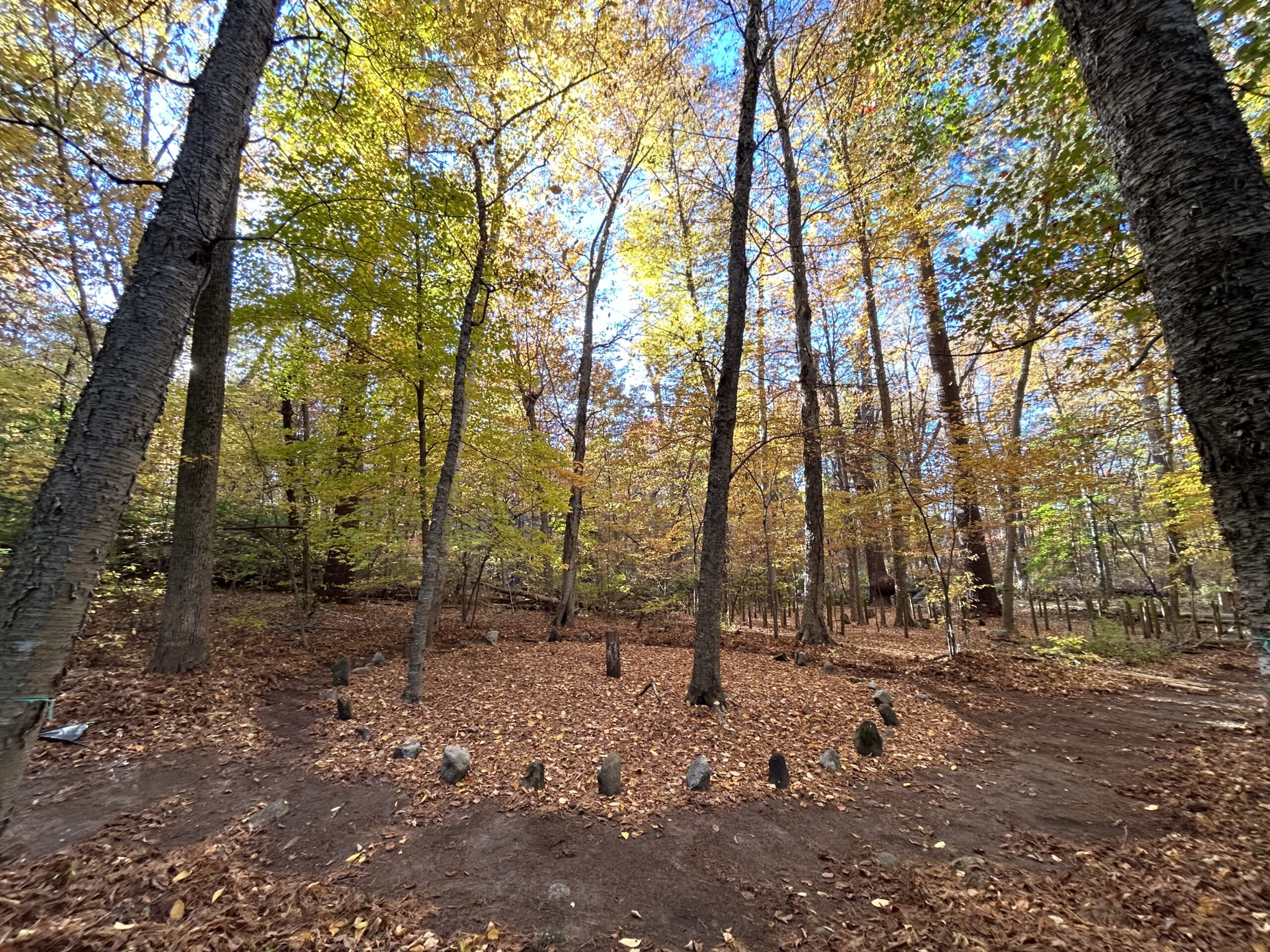 Stone Circle of Transformation