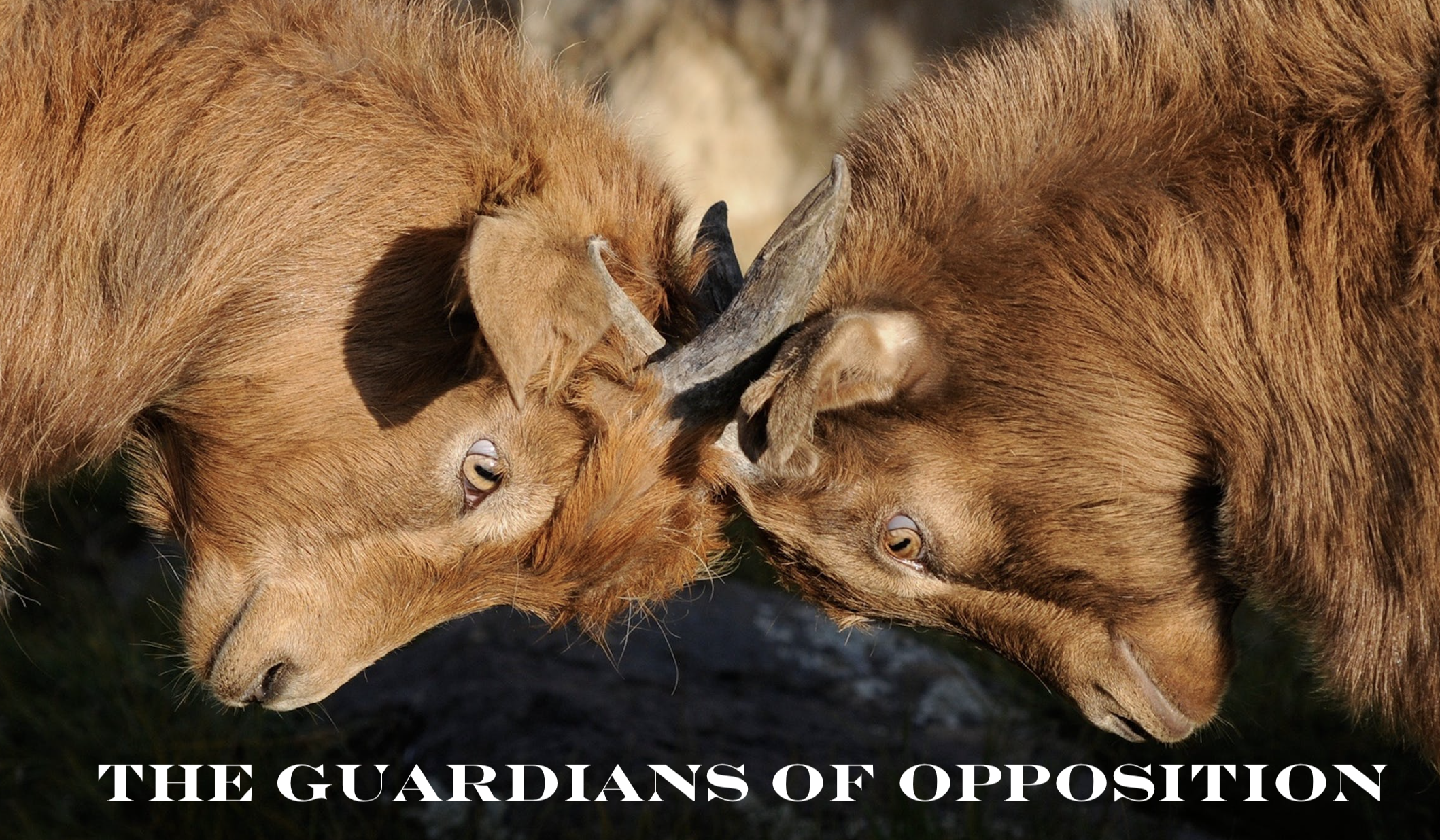 The Guardians of Opposition